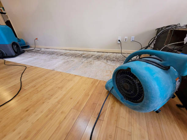 Professional Structural Drying technician working in Underwood, IA